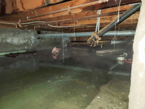  Darmstadt, IN Water damage restoration Pros