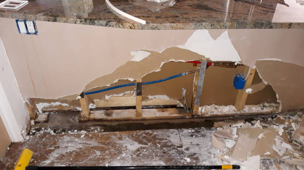 Best Water damage cleanup near me  in Darmstadt, IN