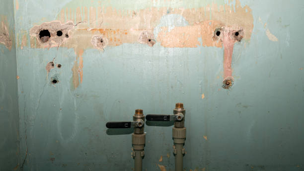 Best Water damage restoration near me  in Darmstadt, IN