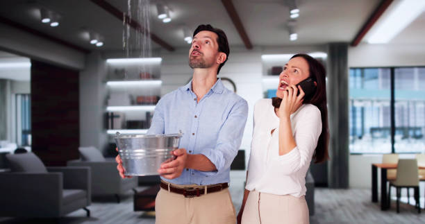 Best 24-hour water damage restoration  in Darmstadt, IN